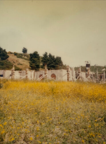 Pamina Mare Old Photo