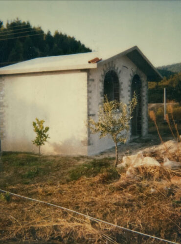 Pamina Mare Old Photo