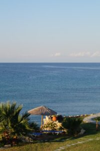 PM-DSC06758 (5)
